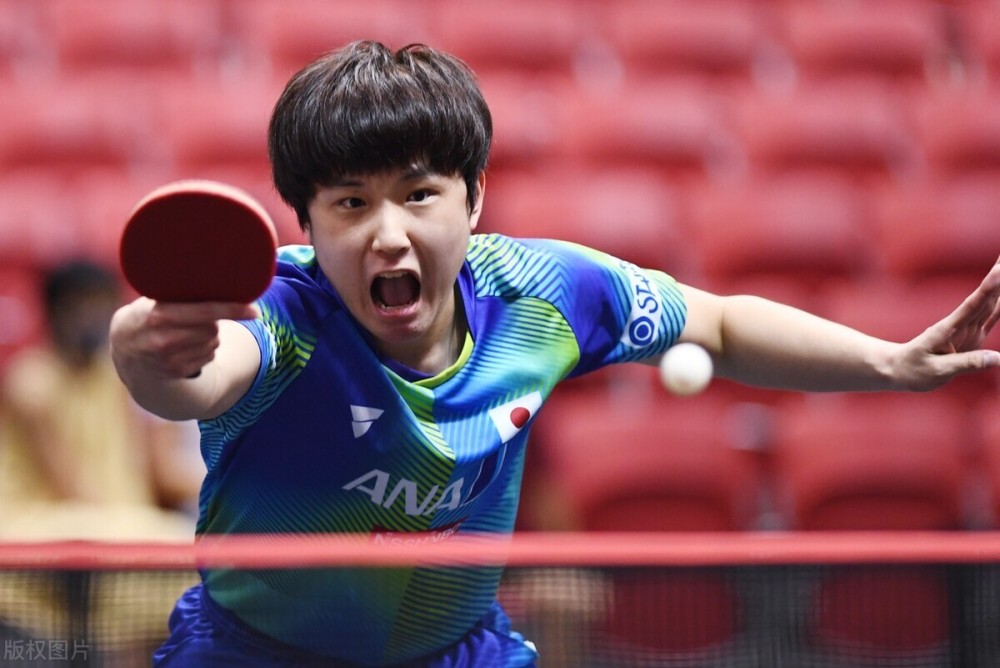 尊重规则 尊重规则