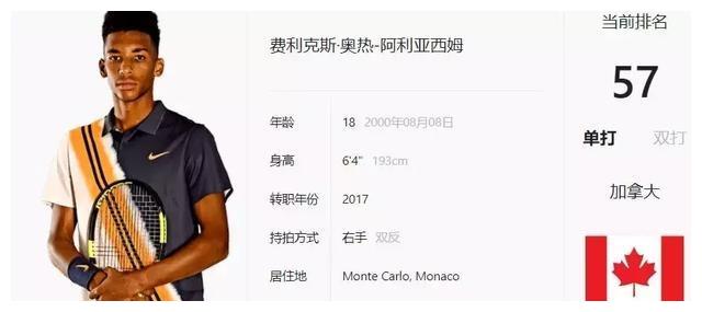 前后足气垫 前后足气垫